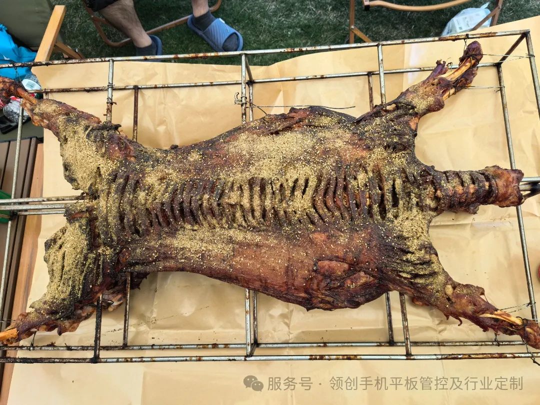 微信图片_202504211422441.jpg